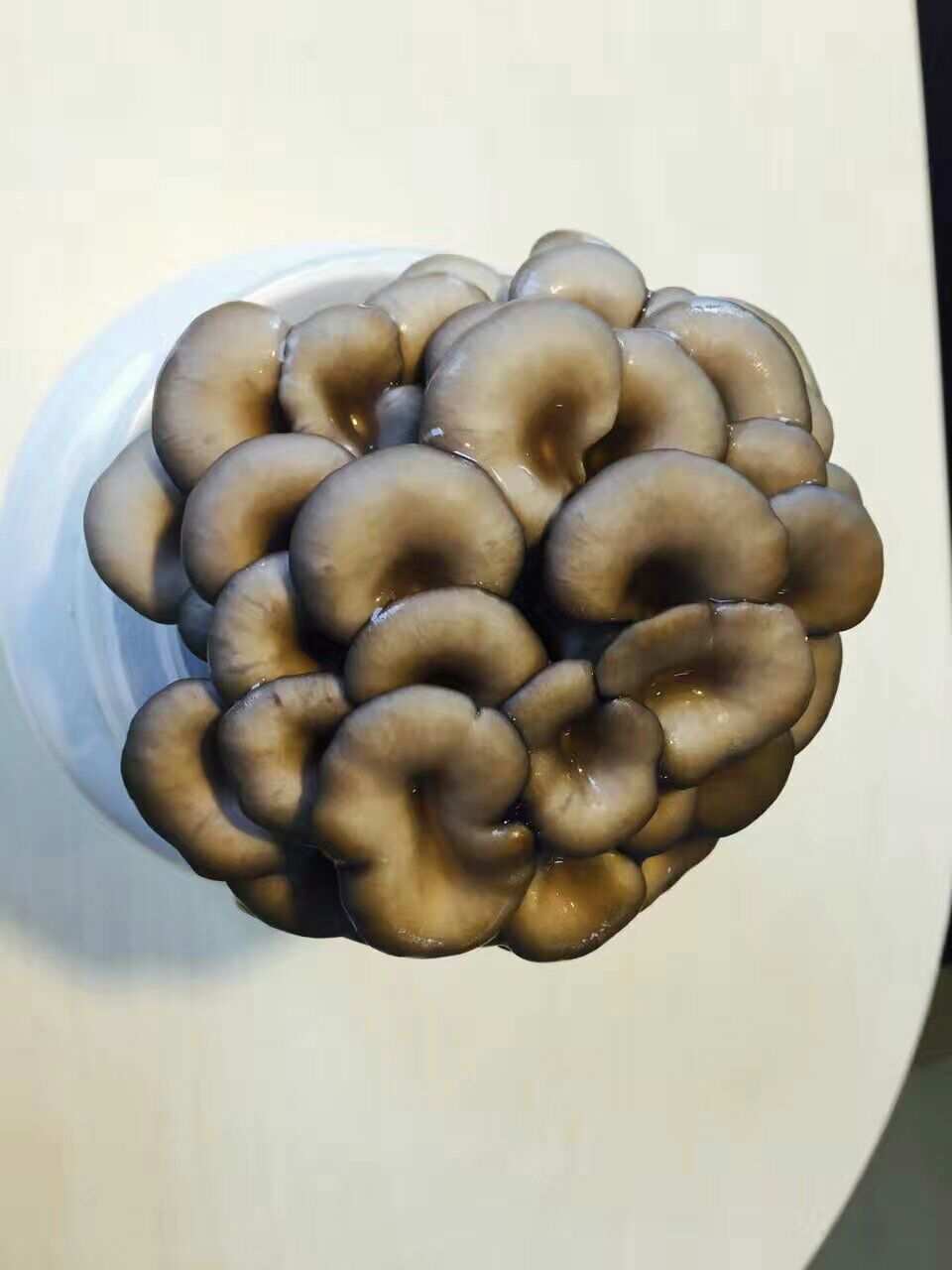 怎么补铜和硒元素缺乏（缺乏铜元素有什么症状）-硒宝网