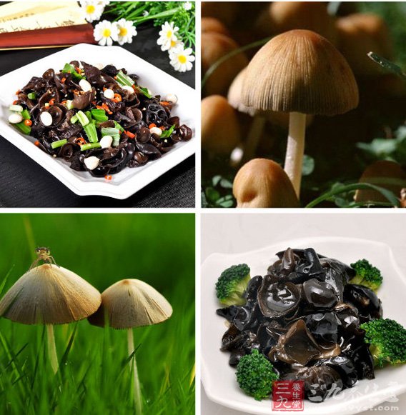 怎么补铜和硒元素缺乏（缺乏铜元素有什么症状）-硒宝网