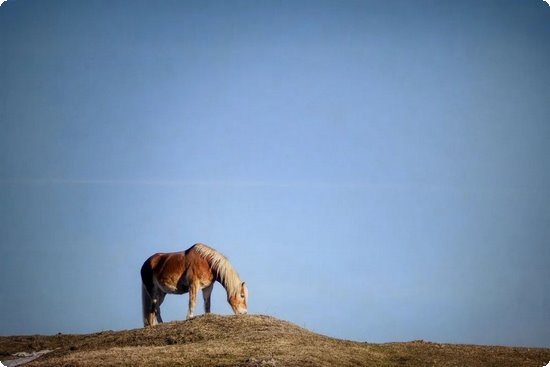 备孕补硒多少含量好些(女性备孕补充多少硒)-硒宝网