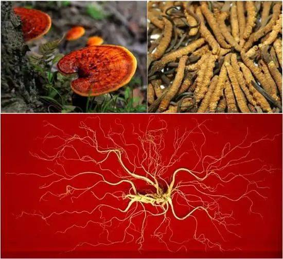 补硒元素真能对抗乙肝(补硒治疗乙肝)-硒宝网