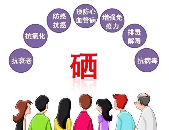 中老年补硒有什么好处(老年人硒)-硒宝网