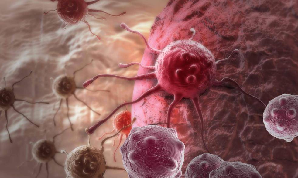 女人补硒最好食物是啥(女人补硒的好处)-硒宝网