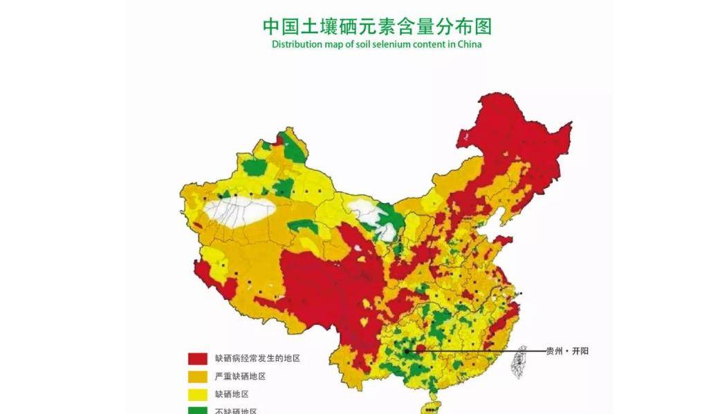 女人补硒最好食物是啥(女人补硒的好处)-硒宝网
