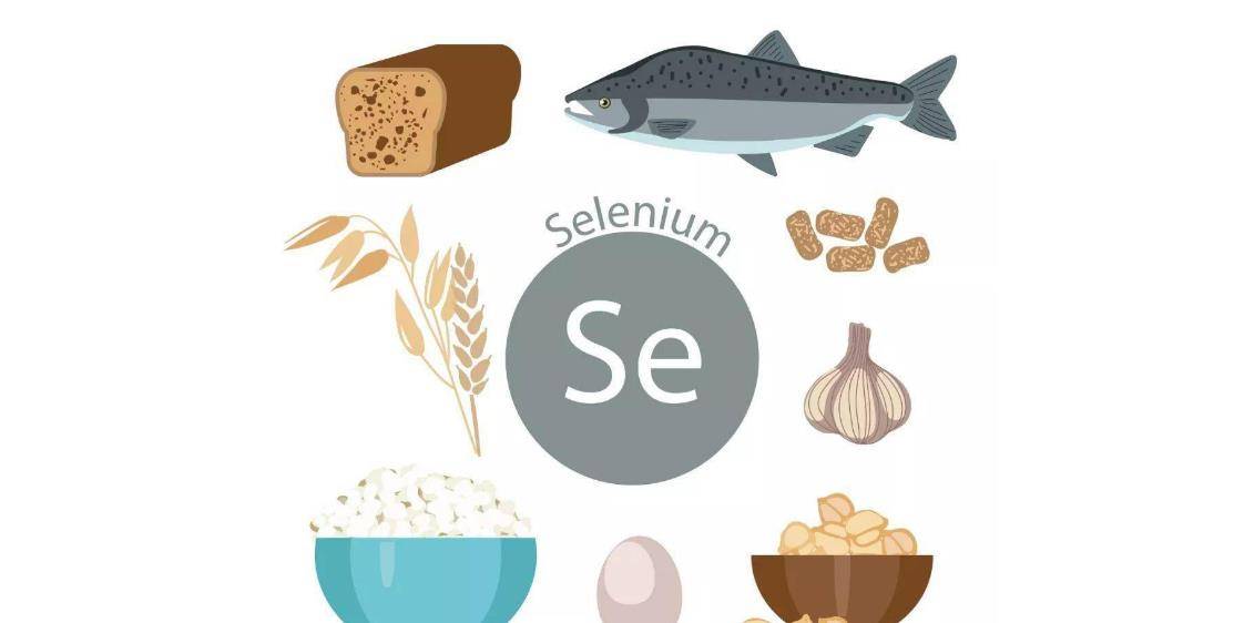 女人补硒最好食物是啥(女人补硒的好处)-硒宝网