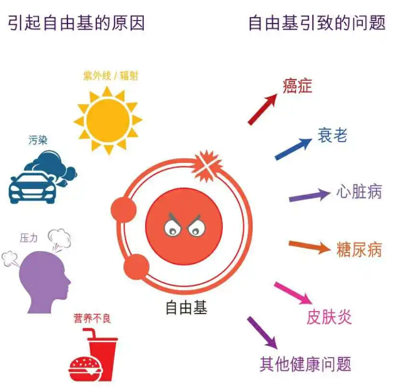 中老年补硒有什么好处（硒对中老年人的好处）-硒宝网