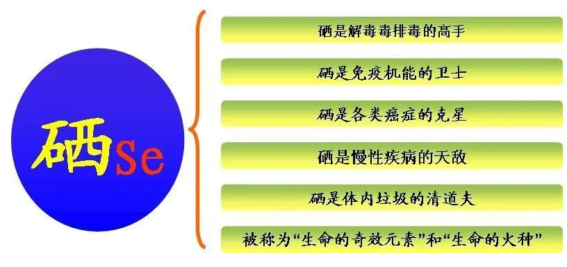 中老年补硒有什么好处（硒对中老年人的好处）-硒宝网