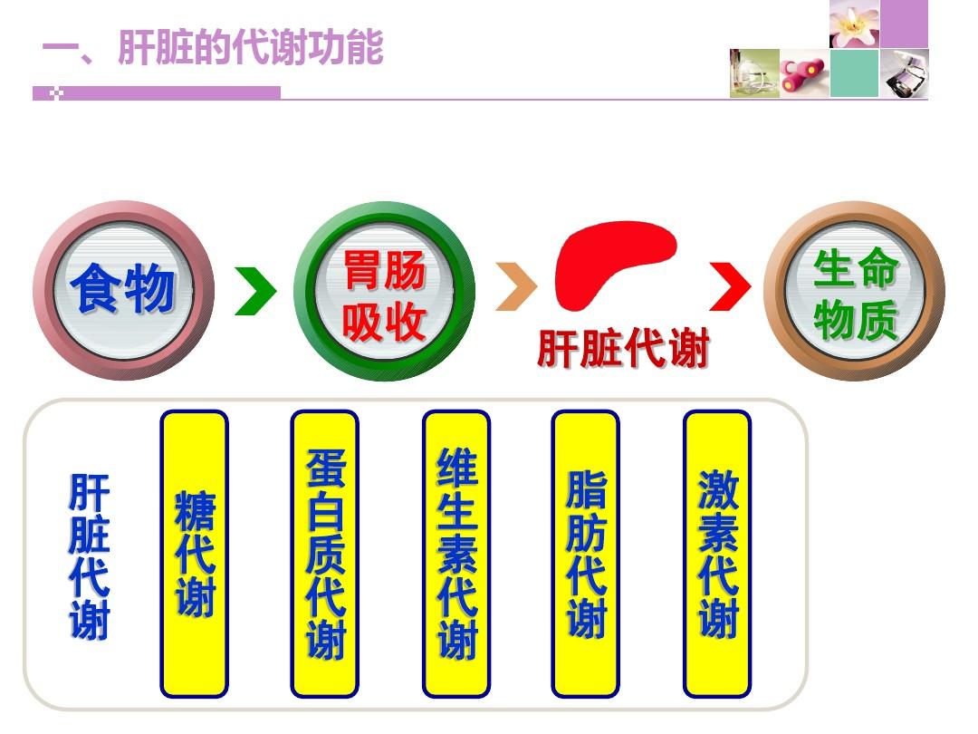 青少年需要补硒蛋白吗（青少年需要补硒元素吗）-硒宝网