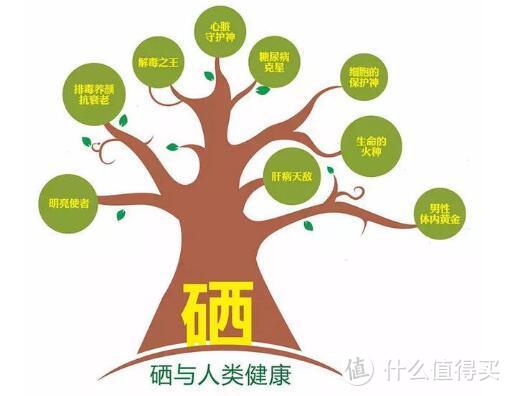 补硒元素的诗句有哪些(补硒元素的诗句有哪些)-硒宝网