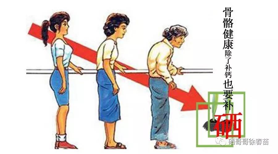 补硒对骨质疏松的作用(疏松补骨质作用硒含量多少)-硒宝网