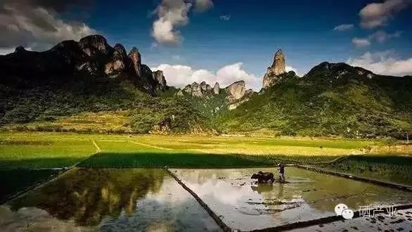 癌症病人补硒用量多少（癌症用量病人补硒有用吗）-硒宝网