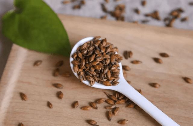 肺上有结节可以补硒吗（肺上有结节可以补硒吗）-硒宝网