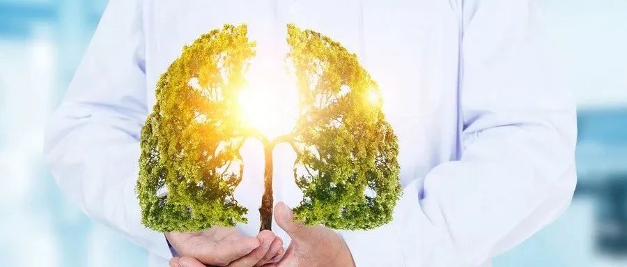 补硒可以治疗肺气肿吗(硒对肺气肿能改善吗)-硒宝网