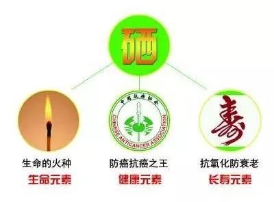 中老年坚持补硒防癌吗（补硒对中老年人的好处）-硒宝网