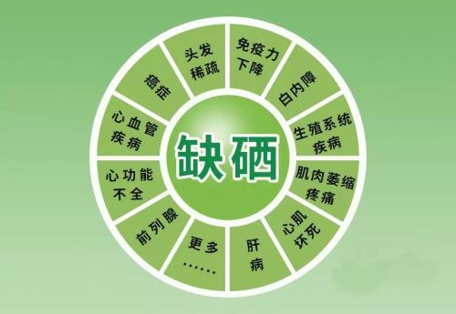 补硒要搭配什么食物好（补充硒食物）-硒宝网