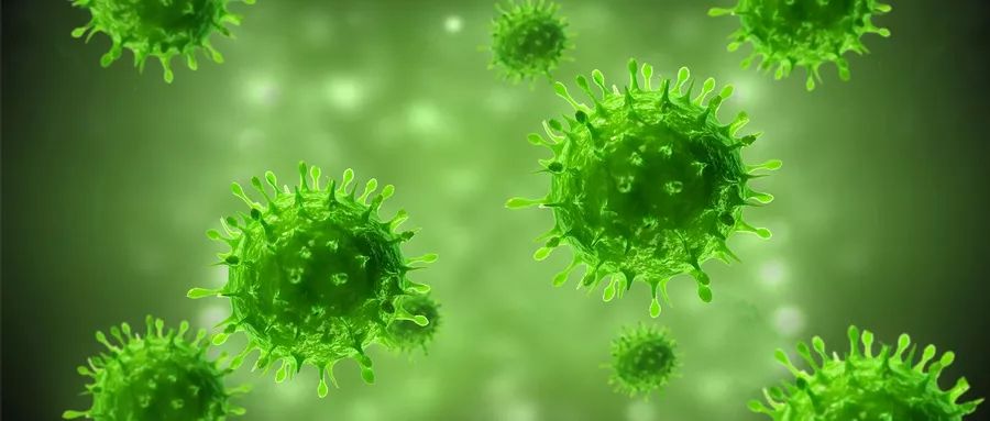 如何补硒食物最有效果(补硒的食材)-硒宝网