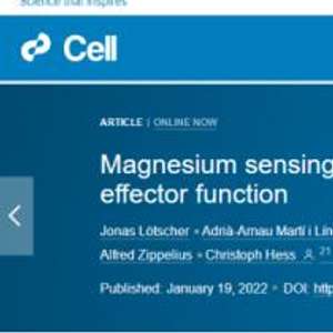 癌症初期要补硒元素吗(癌症初期要补硒元素吗)-硒宝网