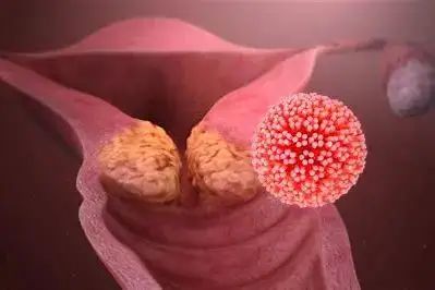 补硒为什么感觉宫颈疼(补宫颈的食物)-硒宝网