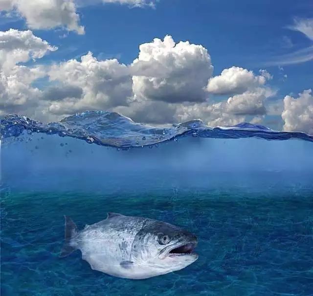 为什么补硒促进钙吸收（钙硒多补）-硒宝网