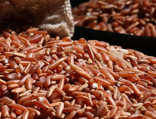 动物补硒的产品哪个好(动物缺硒)-硒宝网