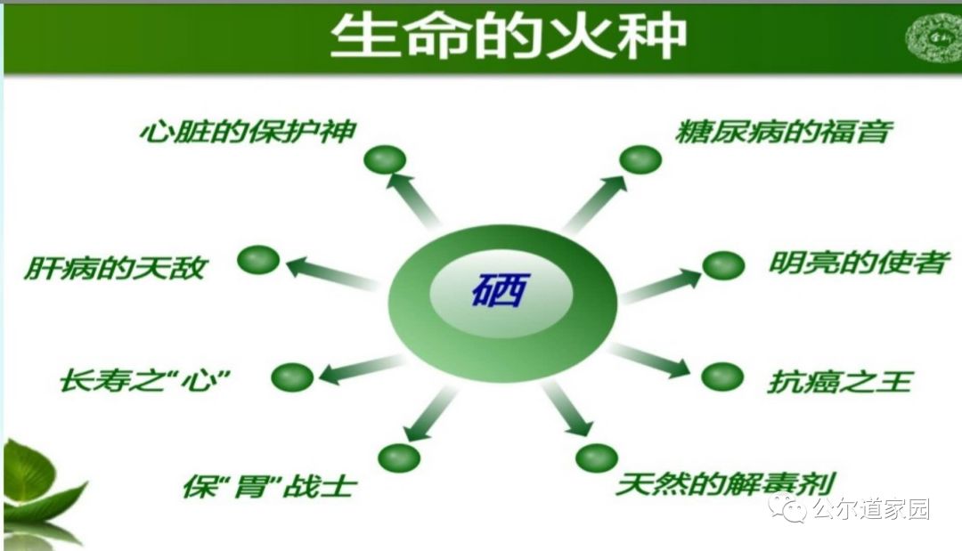 补硒多久对精子有效果（补硒对男人性功能的好处）-硒宝网