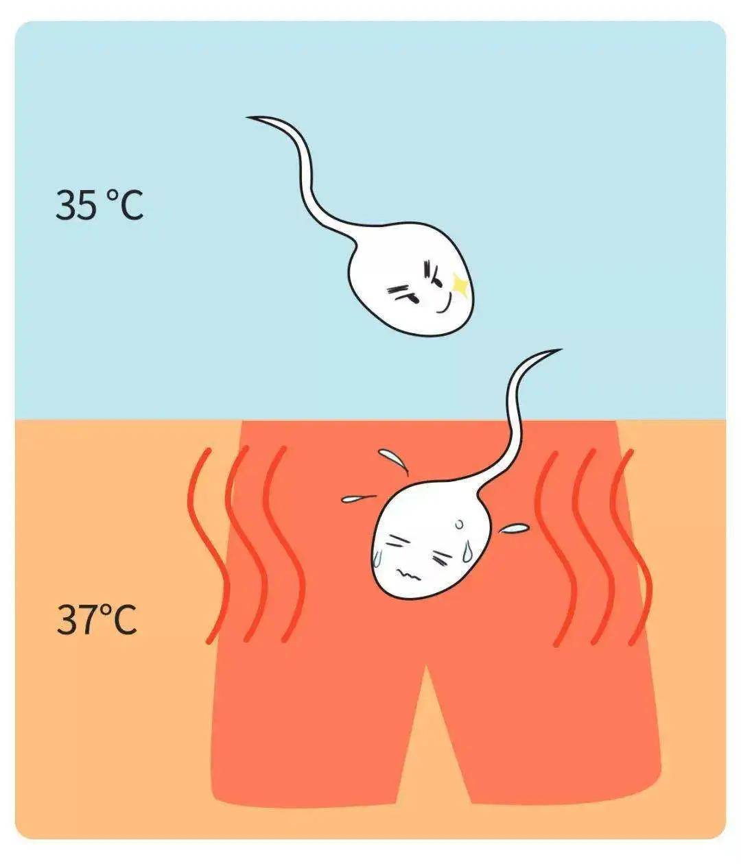 备孕男士如何补硒最好(男性备孕硒摄入量)-硒宝网