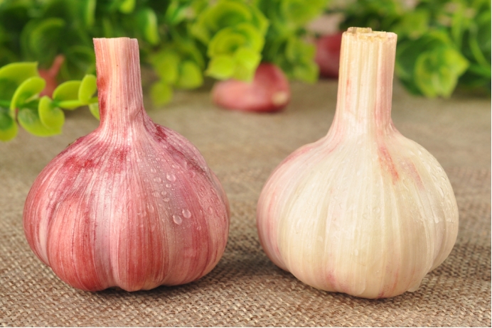 食用后能够补硒的植物（植物硒补多了对人体有害吗）-硒宝网