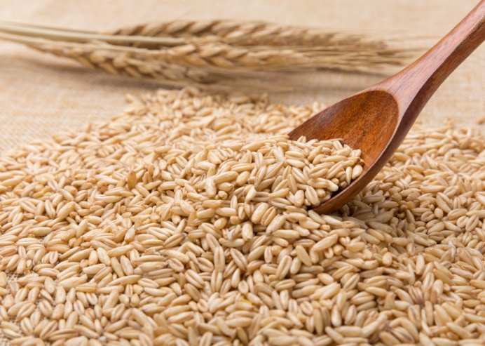 食用后能够补硒的植物（植物硒补多了对人体有害吗）-硒宝网