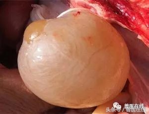 过量补硒对肝脏的危害(补硒对肝)-硒宝网