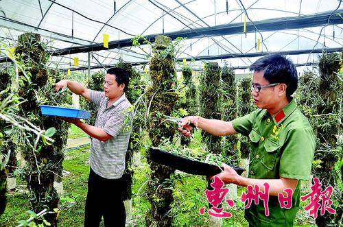 哪些名贵野生药材补硒（哪些名贵野生药材补硒）-硒宝网