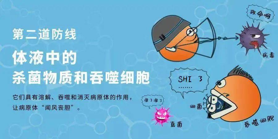 乙肝补硒的食物有哪些(补硒乙肝)-硒宝网