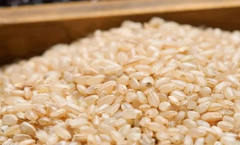 补硒的食物有哪些孕妇（孕妇补食物硒有什么作用）-硒宝网