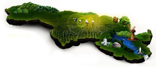 要像抓补碘一样抓补硒(补硒有用吗)-硒宝网