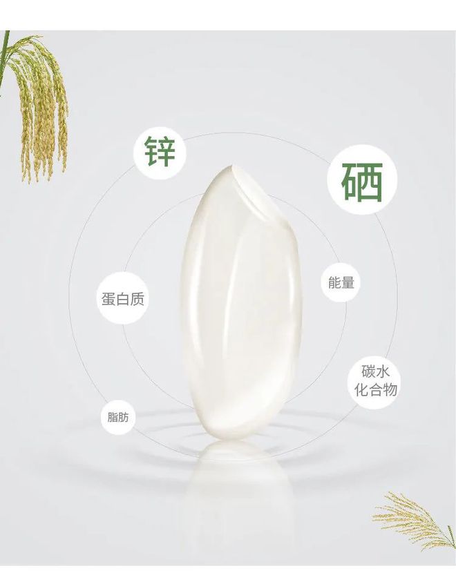 要像抓补碘一样抓补硒(补硒有用吗)-硒宝网