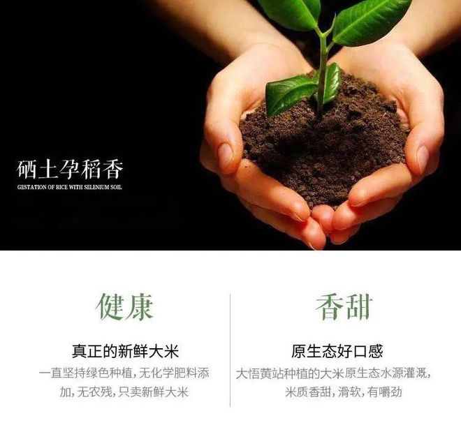 要像抓补碘一样抓补硒(补硒有用吗)-硒宝网