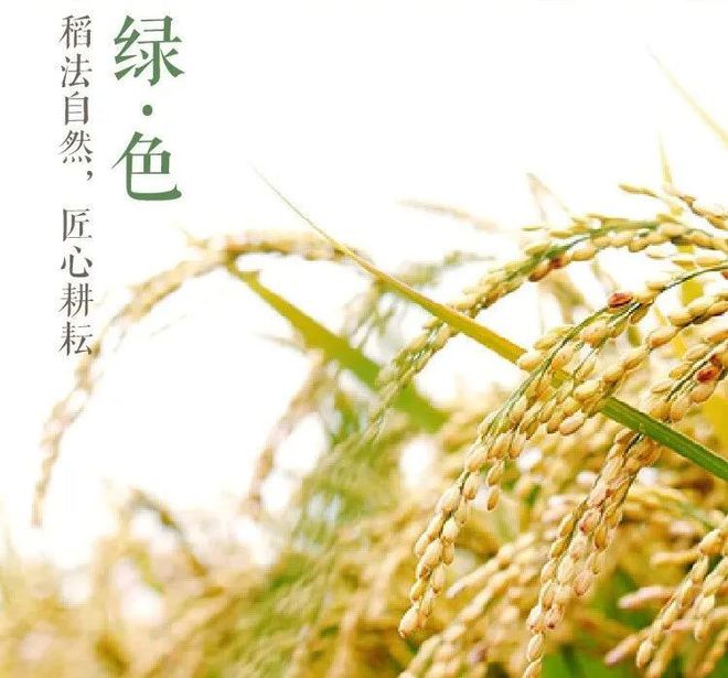 要像抓补碘一样抓补硒(补硒有用吗)-硒宝网