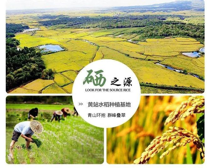 要像抓补碘一样抓补硒(补硒有用吗)-硒宝网