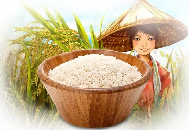 要像抓补碘一样抓补硒(补硒有用吗)-硒宝网