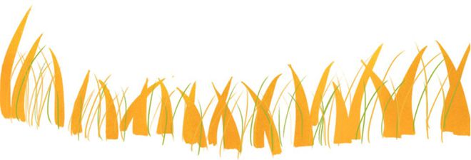 要像抓补碘一样抓补硒(补硒有用吗)-硒宝网