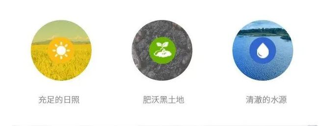 要像抓补碘一样抓补硒(补硒有用吗)-硒宝网