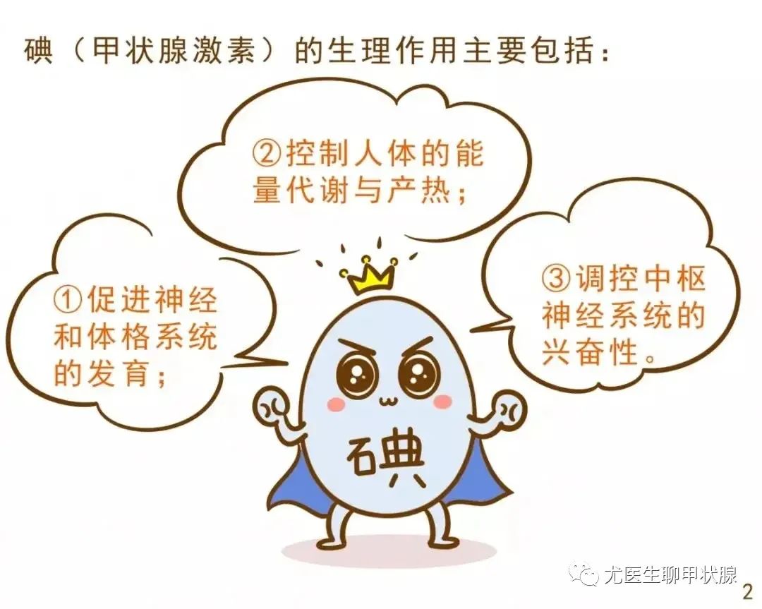 可以从哪些食物里补硒(硒可以食补吗)-硒宝网