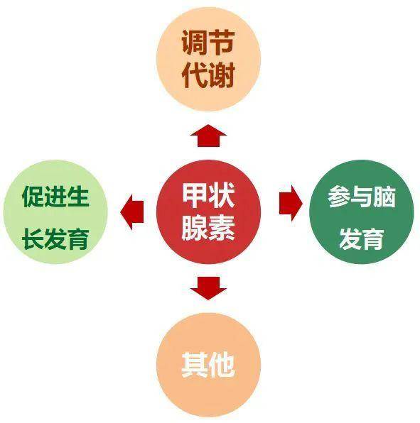 可以从哪些食物里补硒(硒可以食补吗)-硒宝网