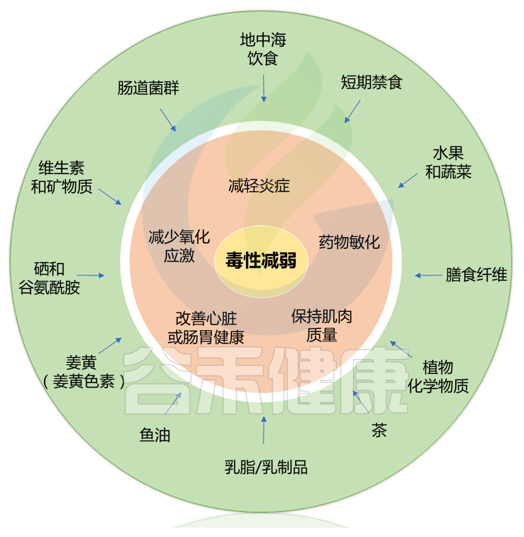 肝癌吃靶向药能补硒吗（肝癌补硒）-硒宝网