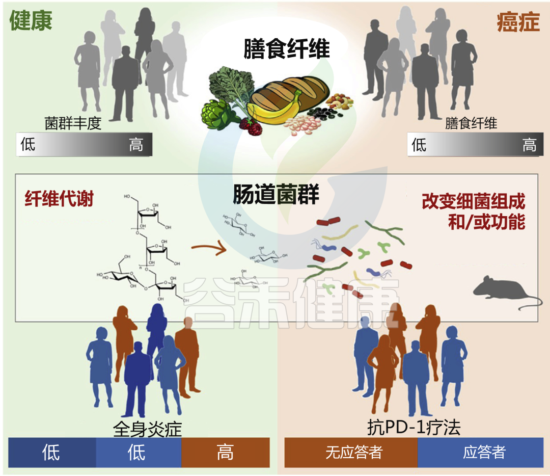 肝癌吃靶向药能补硒吗（肝癌补硒）-硒宝网