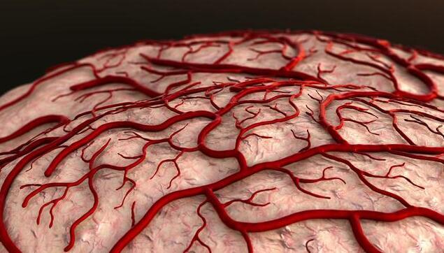 血管有斑块补硒有用吗(血管有斑块补硒有用吗)-硒宝网