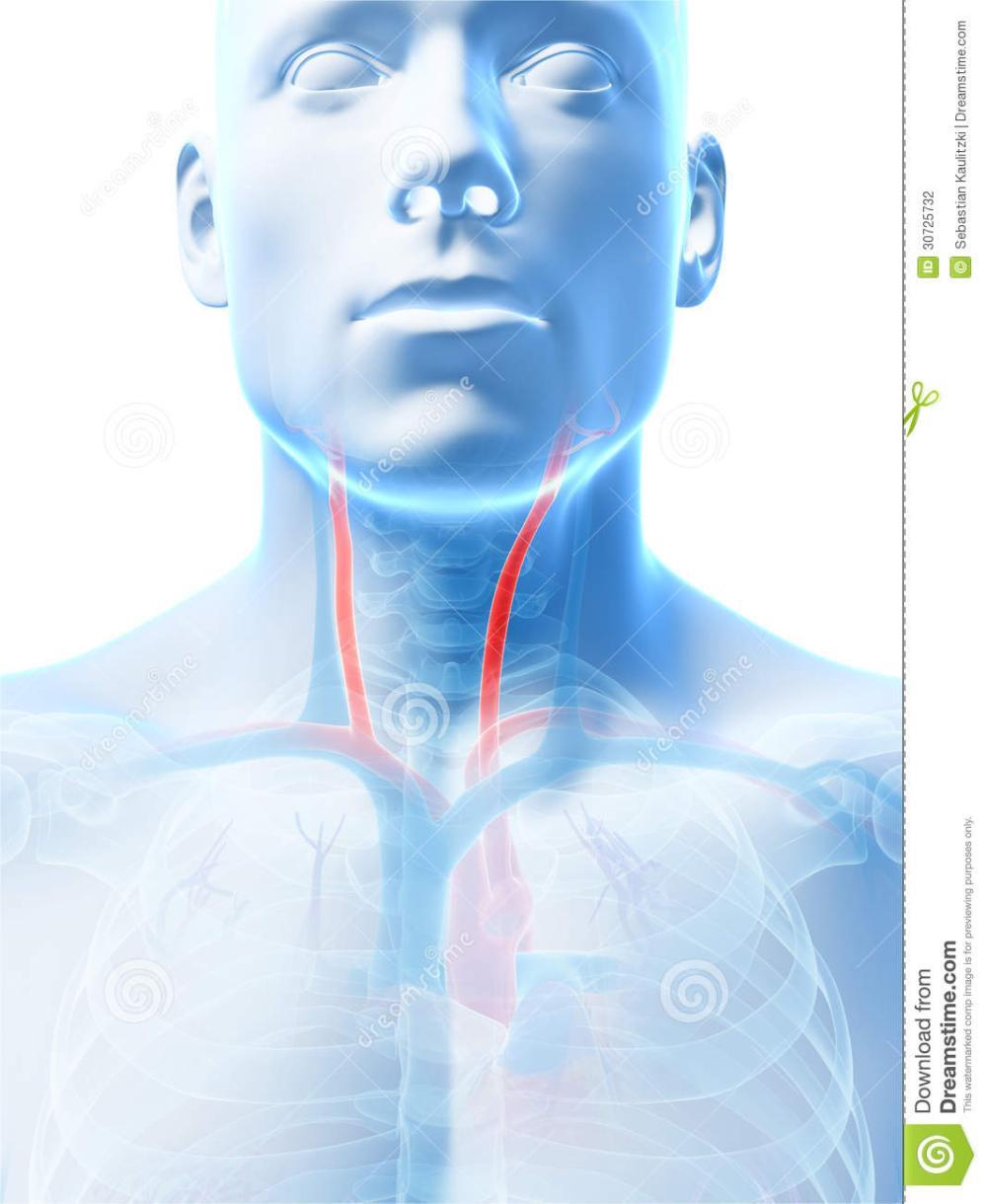 血管有斑块补硒有用吗(血管有斑块补硒有用吗)-硒宝网