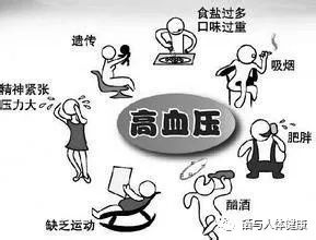 血压高病人可以补硒吗(血压病人补高硒可以吗)-硒宝网