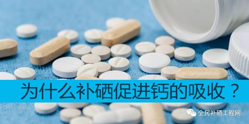 补硒能加速吸收吗知乎(补硒知乎)-硒宝网