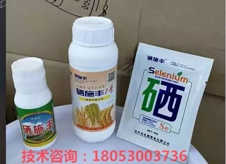 化疗患者补硒的重要性(化疗患者补硒的重要性)-硒宝网