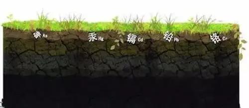 化疗患者补硒的重要性(化疗患者补硒的重要性)-硒宝网