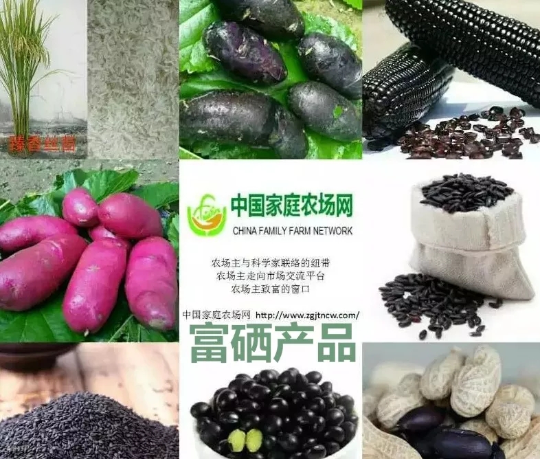 化疗患者补硒的重要性(化疗患者补硒的重要性)-硒宝网